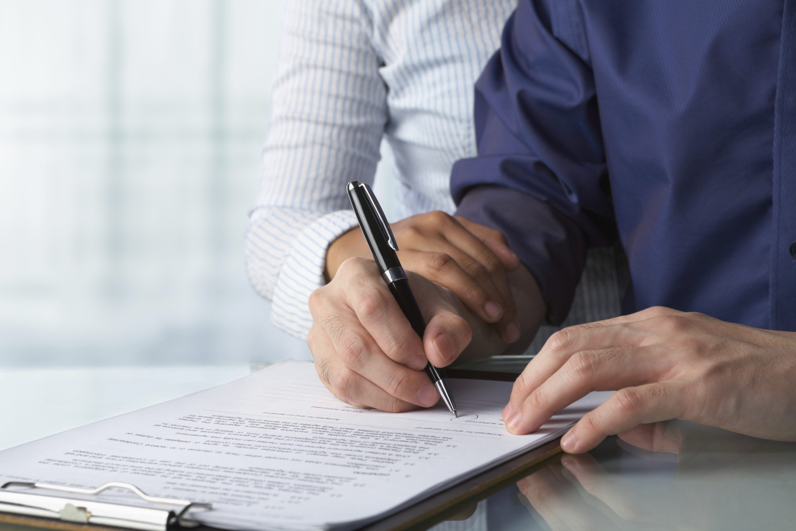 What is Will Litigation?