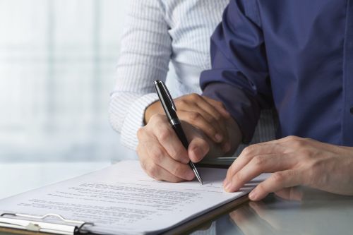What is Will Litigation?