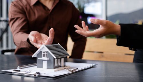 What Does an Estate Litig…
